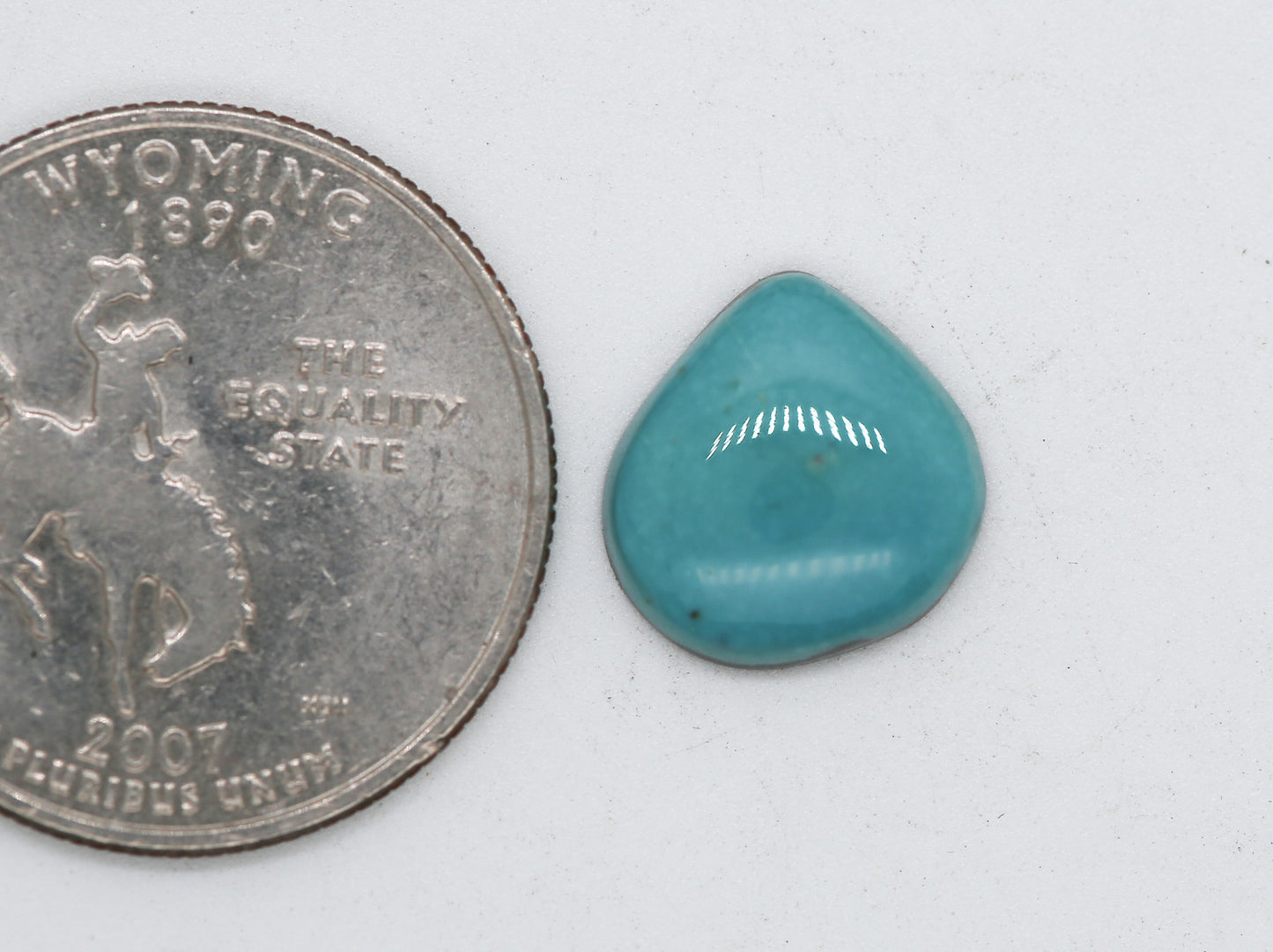 Natural Fox Turquoise