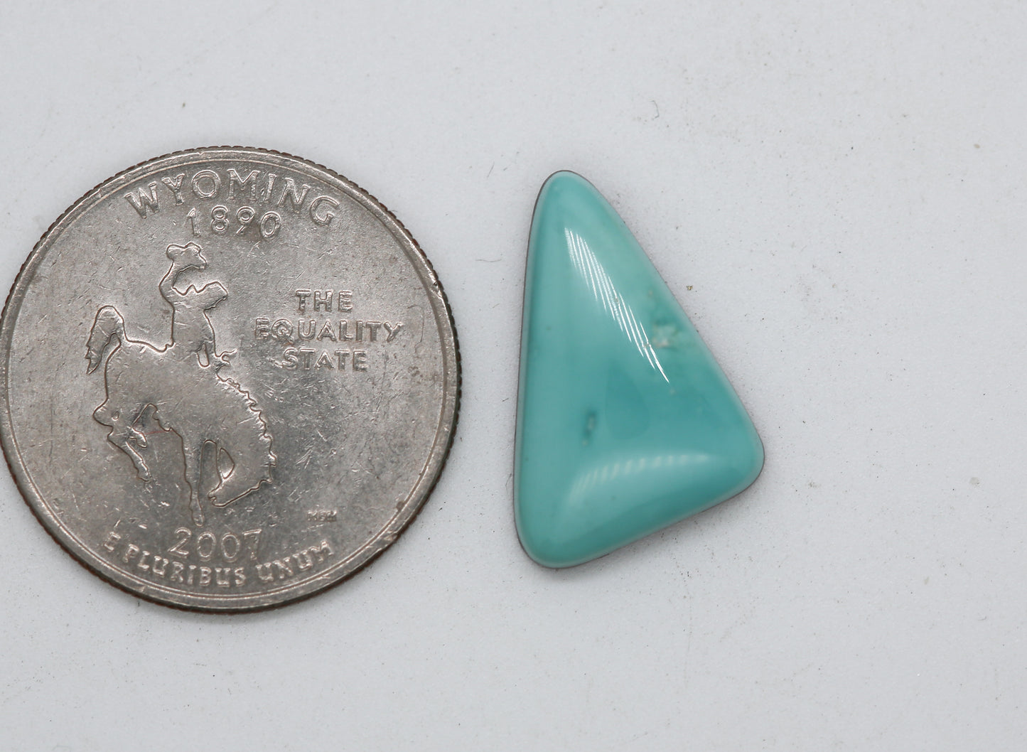 Natural Fox Turquoise