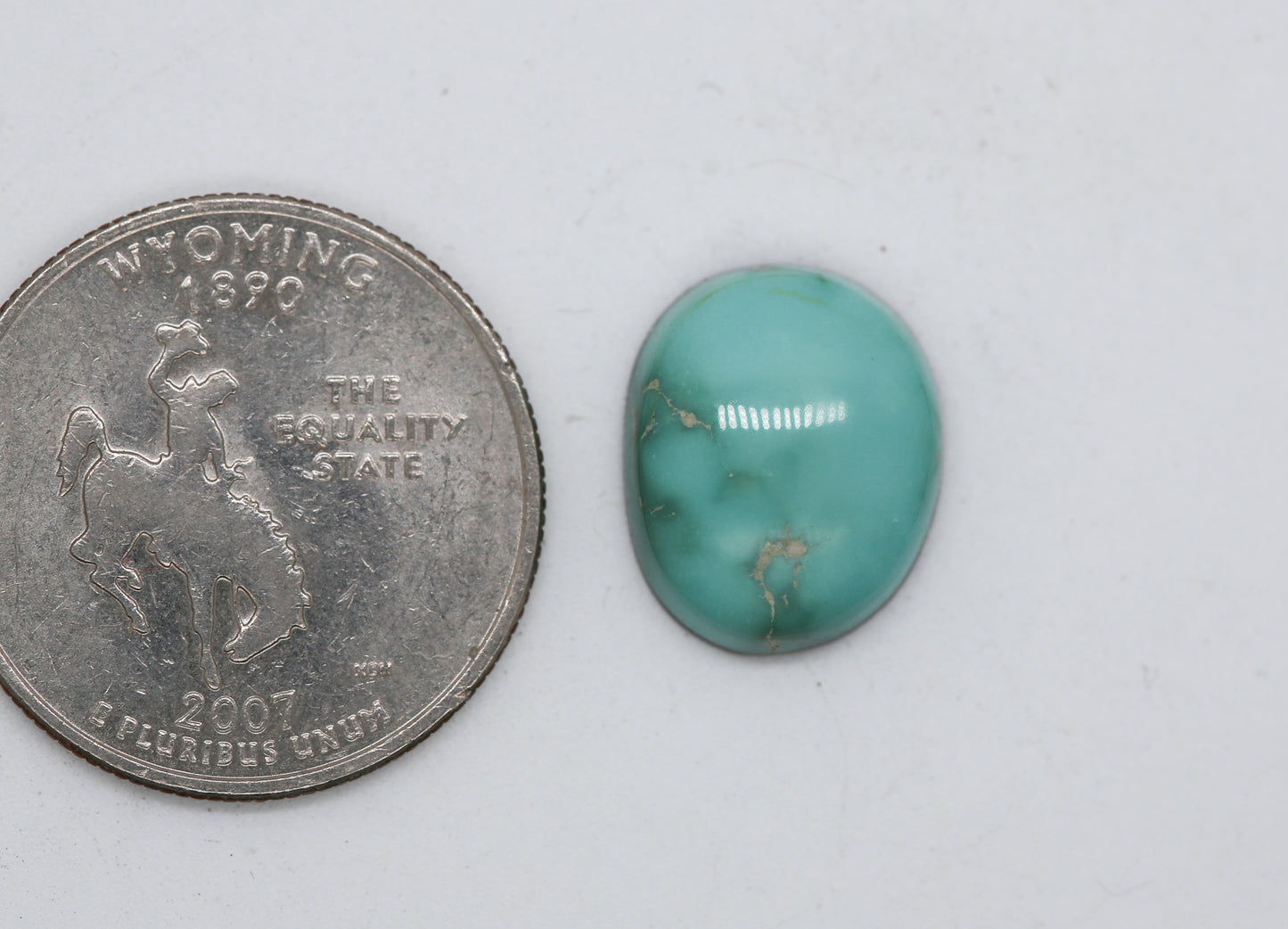 Natural Fox Turquoise