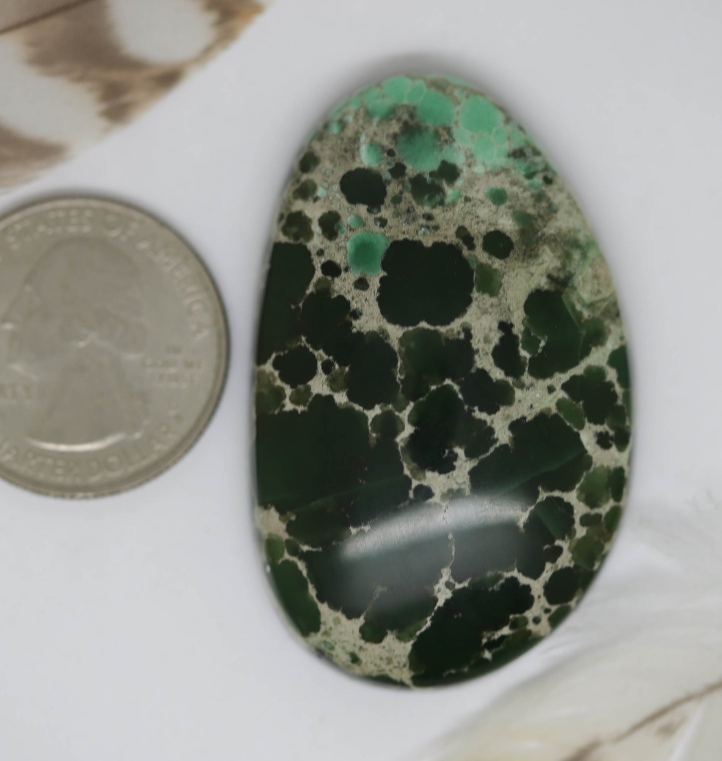 Lucin Variscite Monster Cab