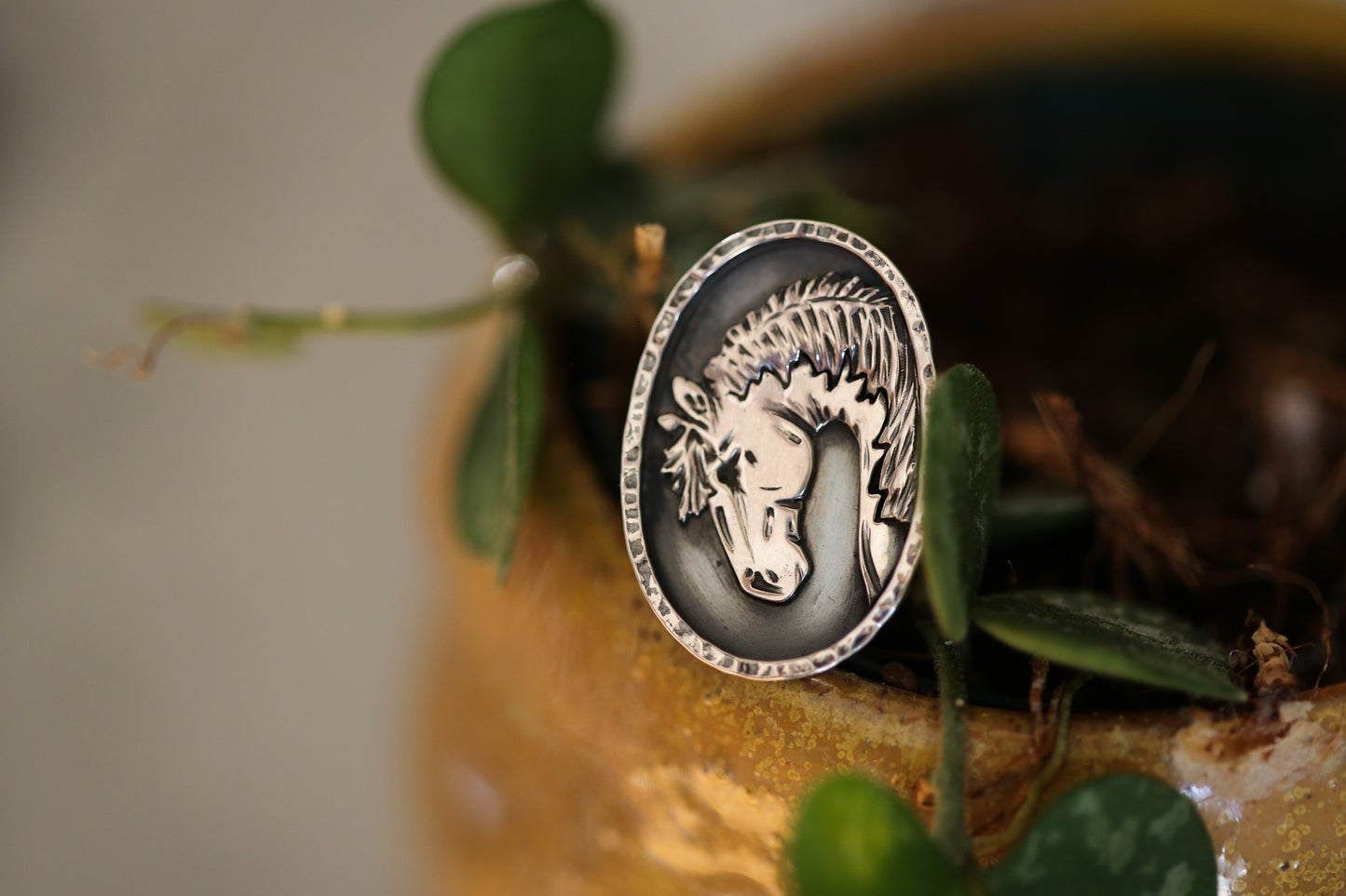 Horse Ring Size 6.25
