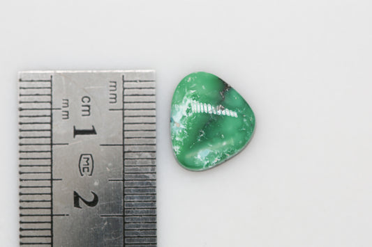 Natural Carico Lake Turquoise Cabochon