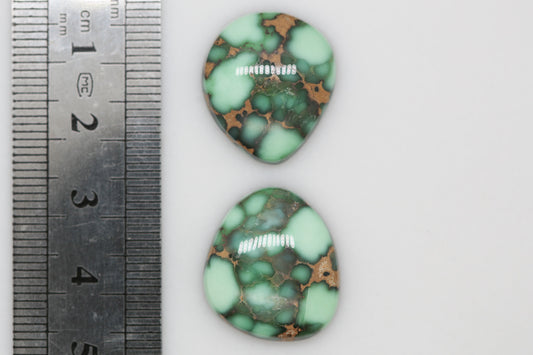 Natural Webbed Damele Turquoise Cabochon Pair