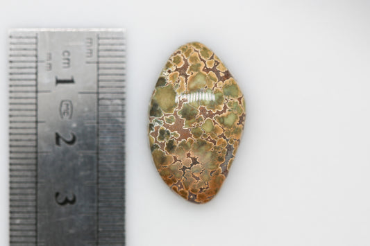 Natural Multicolored Damele Turquoise Cabochon