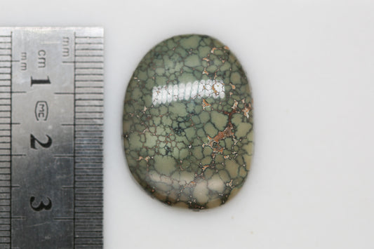 Natural Webbed Damele Turquoise Cabochon
