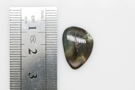 Natural Webbed Damele Turquoise Cabochon