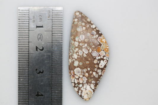 Natural Multicolored Damele Turquoise Cabochon