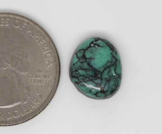 Natural C&T Variscite Cabochon