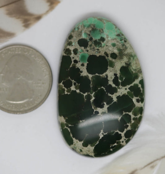Lucin Variscite Monster Cab