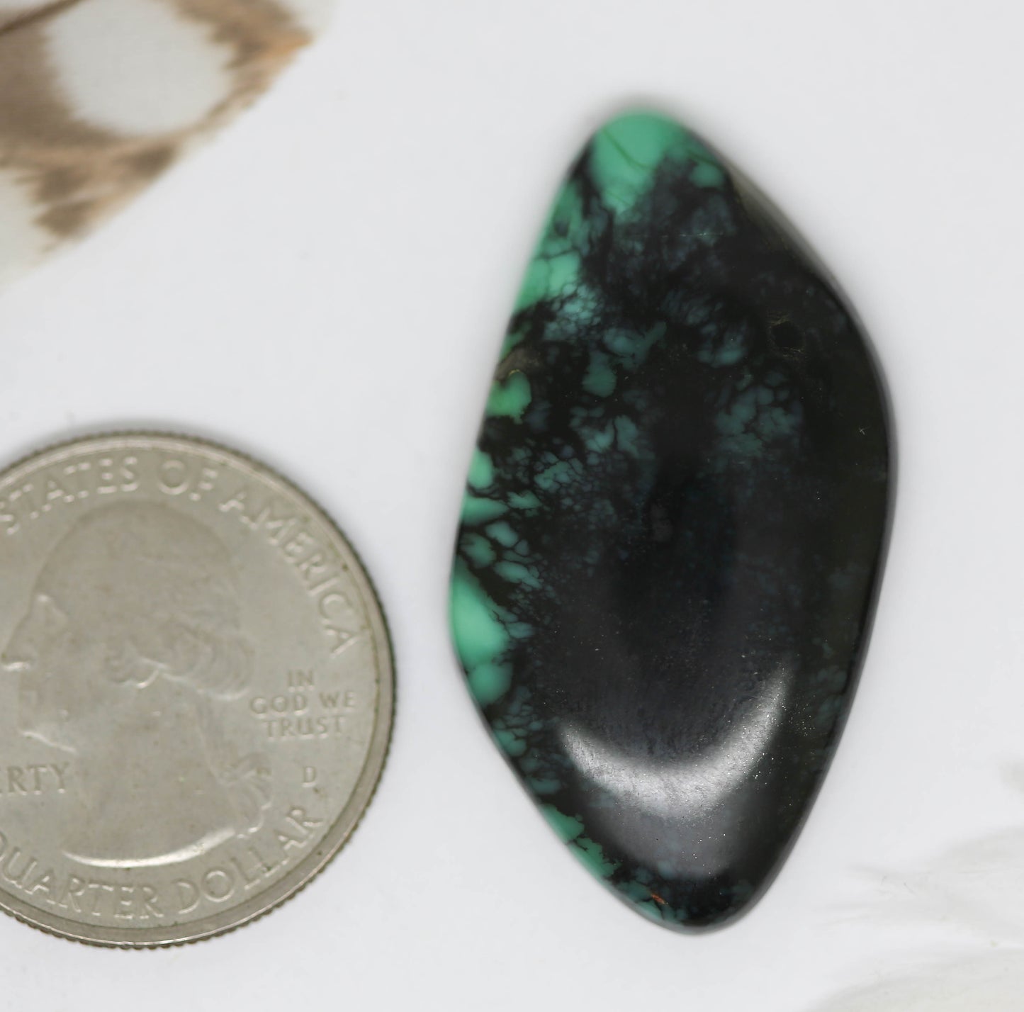 Snowville Variscite Cab