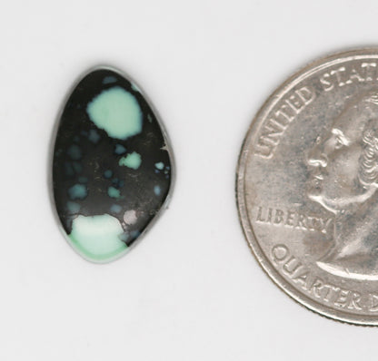 New Lander Turquoise Cabochon. Natural Turquoise Cab. Variscite Cabochon.