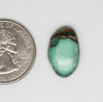 Damele Turquoise Cabochon. Natural Turquoise Cab. Rare Turquoise.