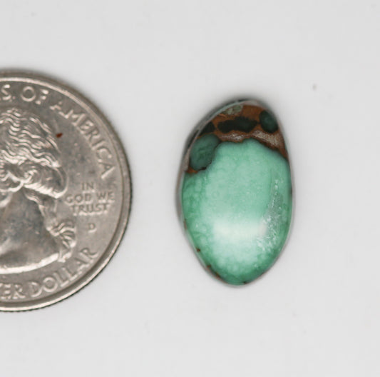 Damele Turquoise Cabochon. Natural Turquoise Cab. Rare Turquoise.