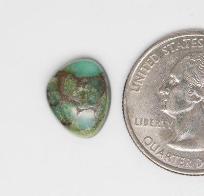 Damele Turquoise Cabochon. Natural Turquoise Cab. Rare Turquoise.