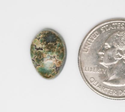Damele Turquoise Cabochon. Natural Turquoise Cab. Rare Turquoise.