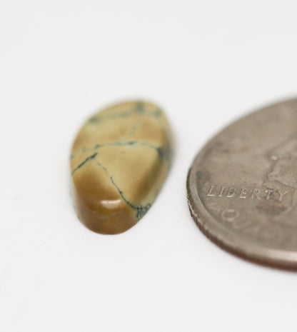 Prince Variscite Cabochon. Natural Turquoise Cab. Rare Turquoise.